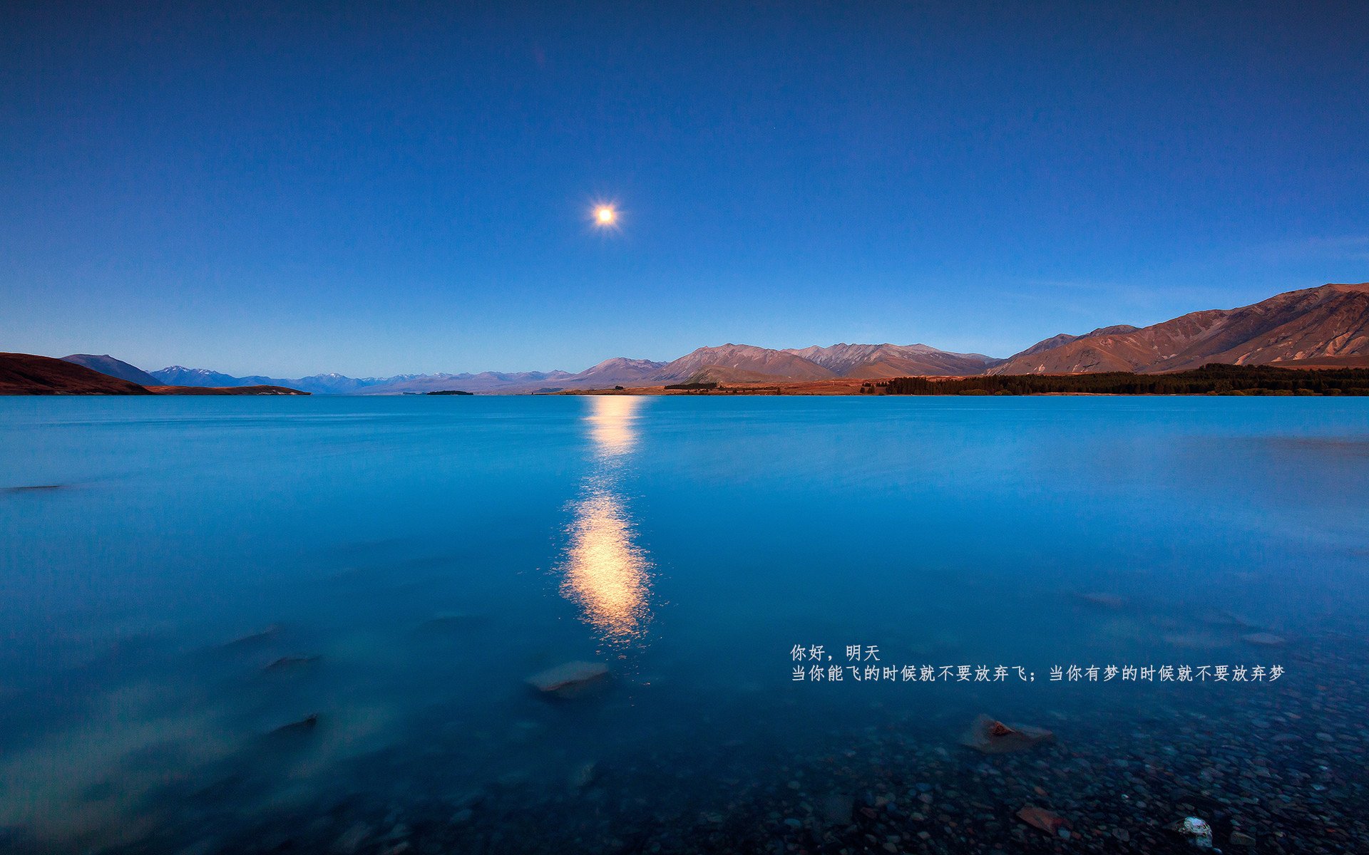 福克斯让对手无解，深圳队强压北京队！京深大战背后的篮球哲学